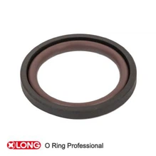 PTFE Glyd Ring Kolbendichtung