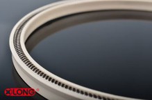 PTFE Feder Energized Mechanische Dichtung