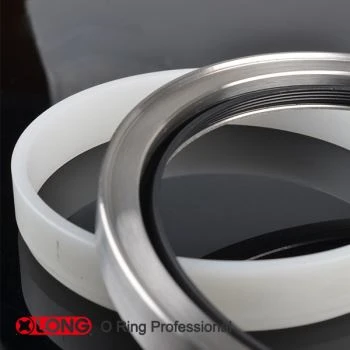 PTFE-Öldichtung für Drehdurchführung