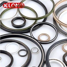 Gute Qualität PTFE Spring Energized Pump Lip Seal