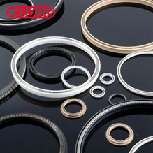PTFE Spring Ballized Kugelhahn-Sitzdichtung